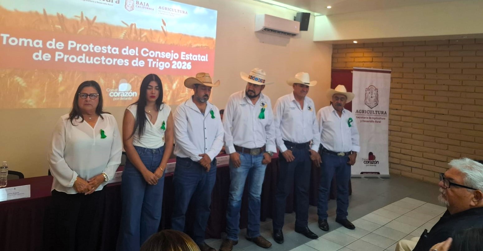 foto_resumen